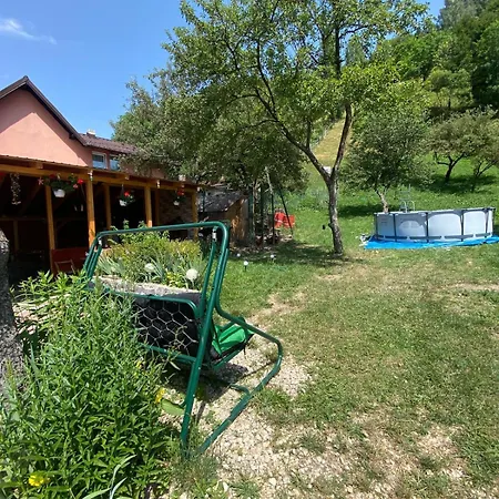 Casa Alexandra Junior Penzion *